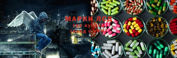 СК Магас