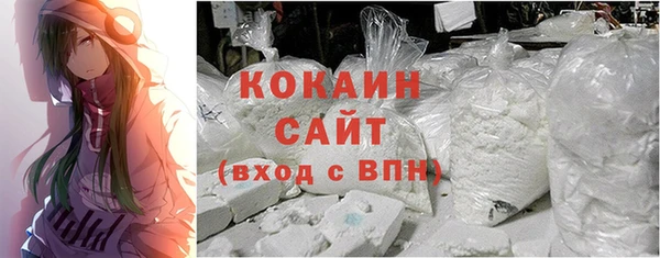 ГАЛЛЮЦИНОГЕННЫЕ ГРИБЫ Аша