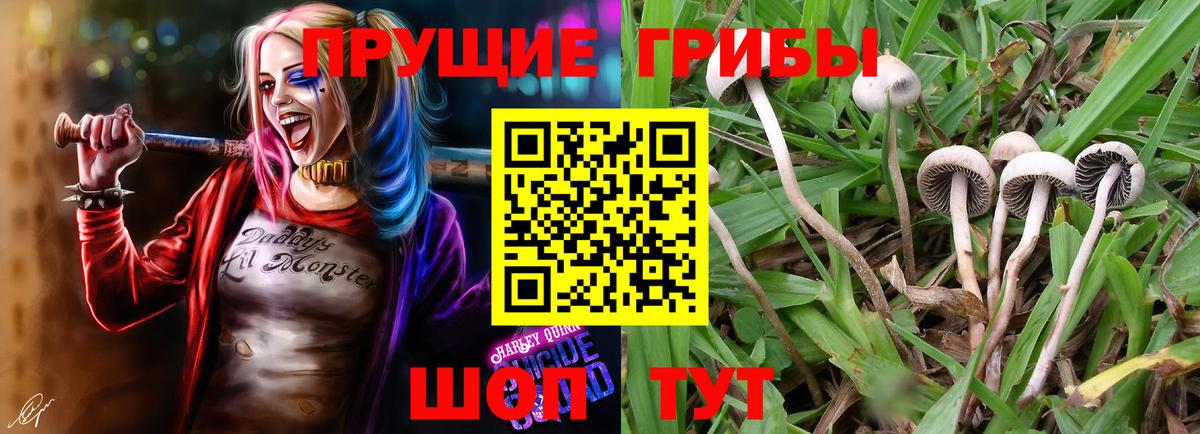 Новоуральск  Псилоцибиновые грибы мухоморы  Вход с VPN 
